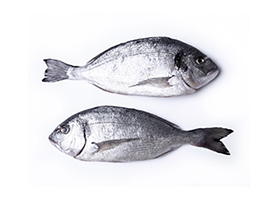 Sea Fish